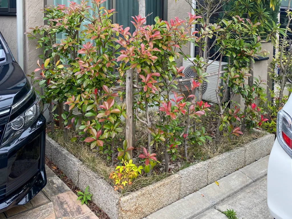 駐輪場にする前の植栽スペース