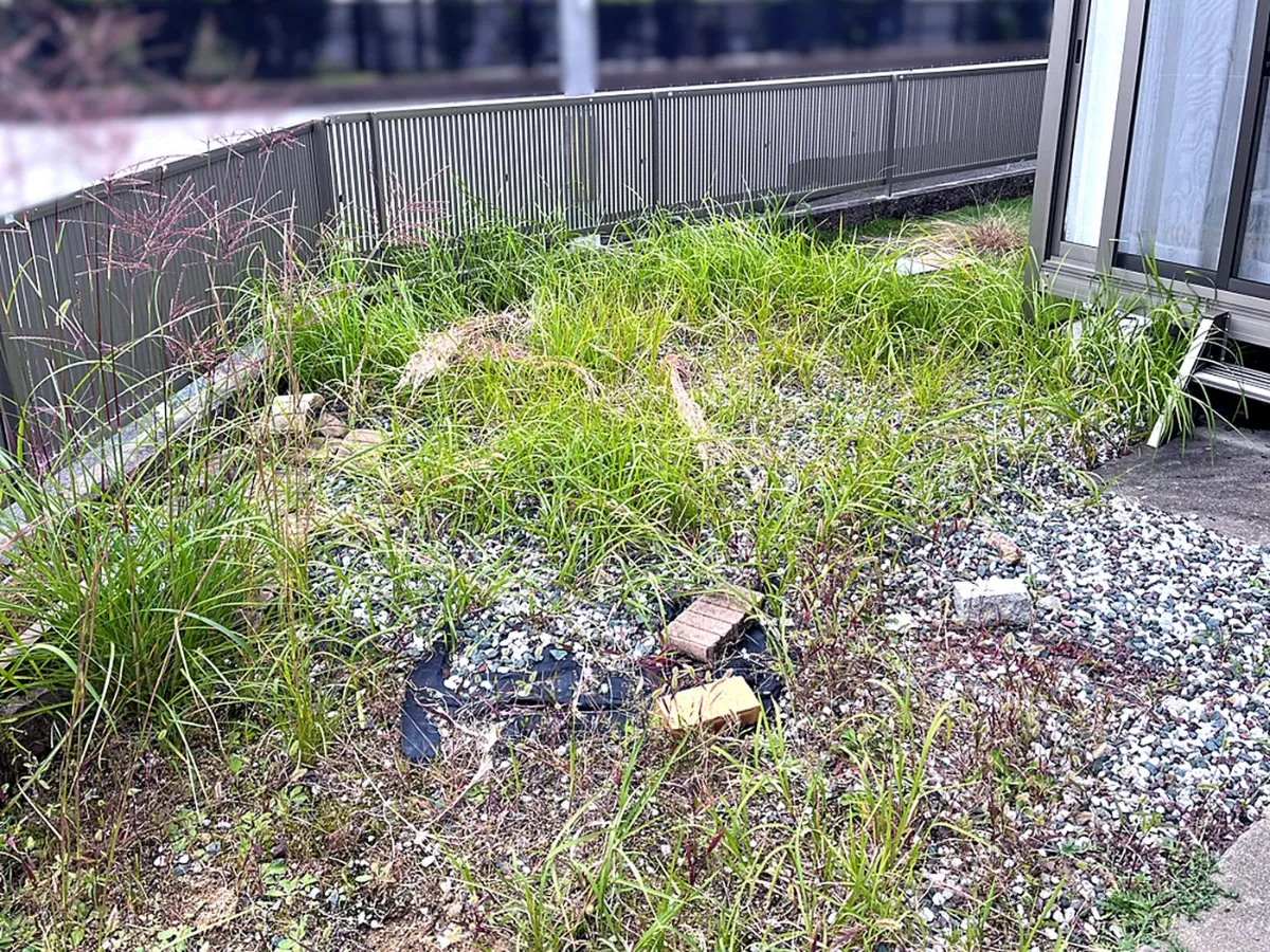 施工前。草が伸び、道路側から見える庭