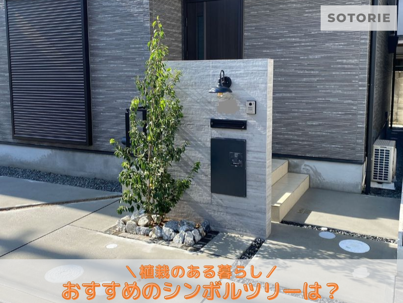 【植栽のある暮らし】おすすめのシンボルツリーは?選ぶ際のポイントは?