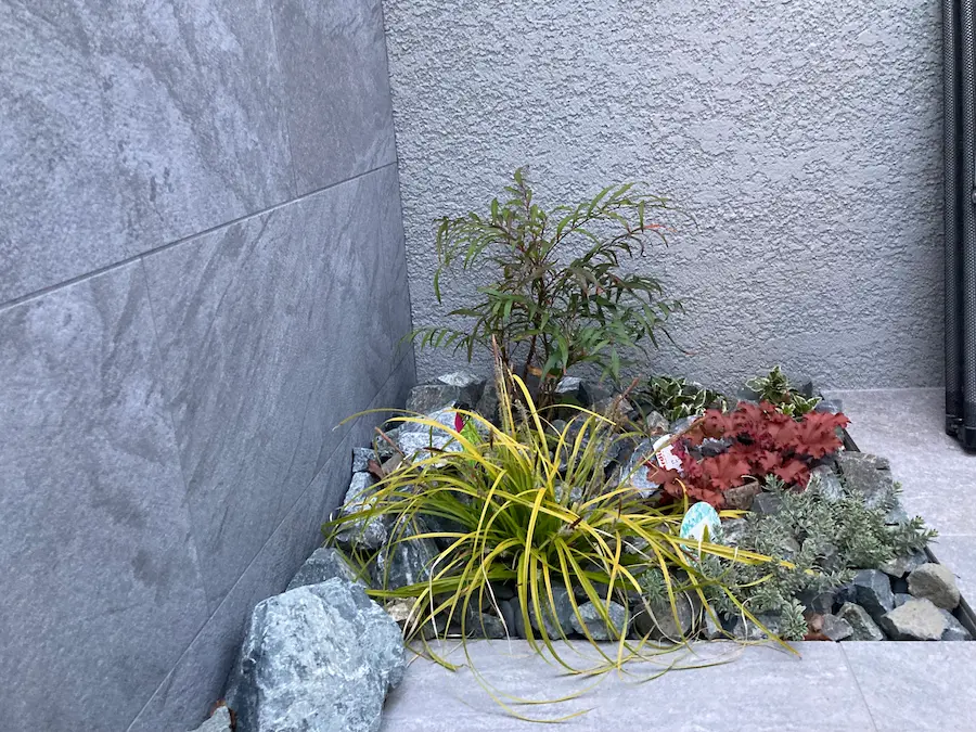 ゴツゴツとした自然石（割栗石）の中にアオダモなどの植栽を配したロックガーデン