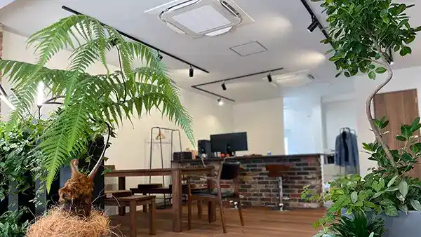 SOTORIE 横浜青葉店の洗練された内観