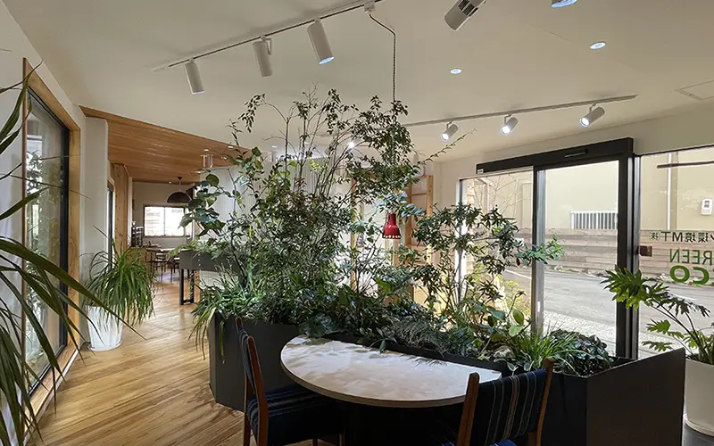 SOTORIE 大阪岸和田店の内装