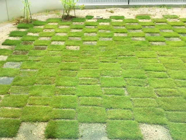 ソトリエ千葉市川の造園施工実績4、天然芝の施工例。メンテナンスフリーな人工芝も人気です。