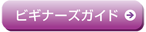 ビギナーズガイド