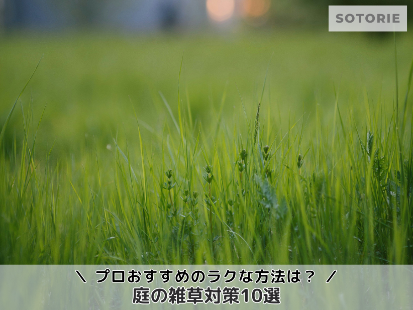 庭の雑草対策10選｜プロおすすめの安全でラクな方法を紹介