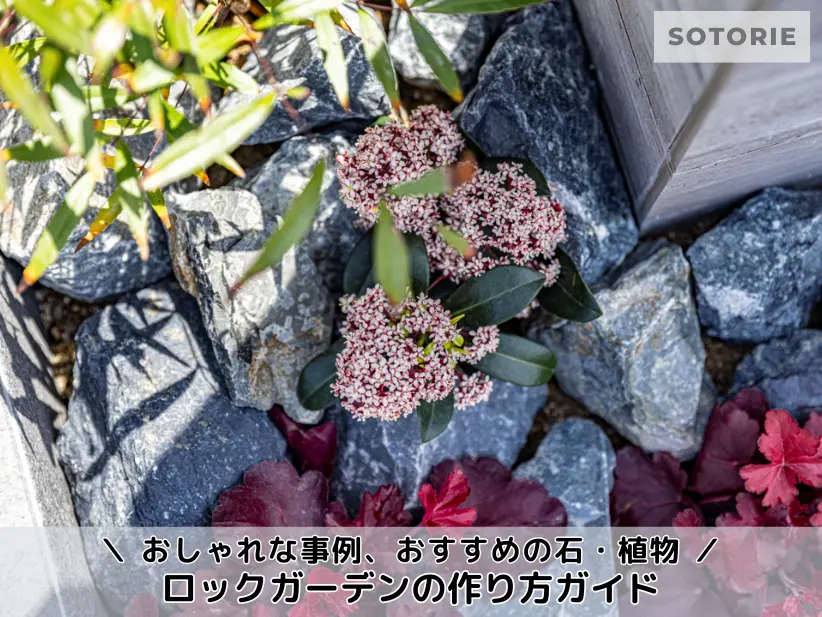 ロックガーデンの作り方ガイド｜おしゃれな事例、おすすめの石・植物を徹底解説